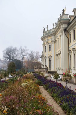 Ludwigsburg, Almanya - 11 Kasım 2021: Almanya 'da sisli bir sonbahar gününde Ludwigsburg Sarayı' ndaki bir bahçede çiçekler.