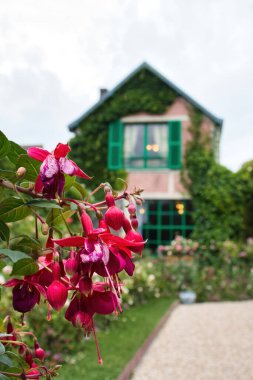 Giverny, Fransa - 23 Haziran 2021: Fransa 'nın Giverny şehrinde bir yaz günü Monet' nin evinin önünde asılı duran çiçekler.