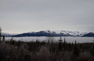 Kanada 'daki Alaska Otoyolu' nda bulutlu bir sonbahar gününde dağların altında sis var.. 