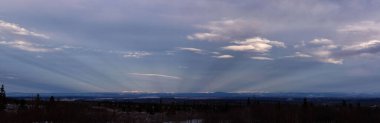 Delta Junction, Alaska yakınlarında bir kış öğleden sonra bulutlu gökyüzünde ışık huzmeleri. 