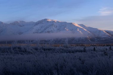 Delta Junction, Alaska yakınlarında bir kış öğleden sonra dağın eteklerinde alçak sis var.. 