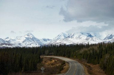 Richardson otoyolu etrafındaki yeşil ağaçlar ve Alaska 'da güneşli bir bahar gününde arka planda karlı dağlar.. 