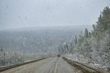 Alaska 'da bir bahar günü Dalton Otoyolu' nun etrafındaki ağaçlarda kar yağar.. 