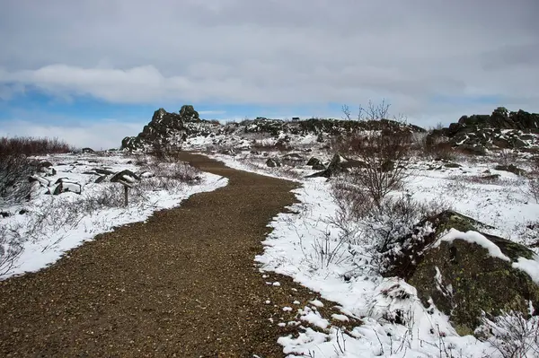Alaska 'daki Dalton otoyolu boyunca karlı bir bahar gününde Finger Dağı yolunda kısa bir yürüyüş yolu.. 