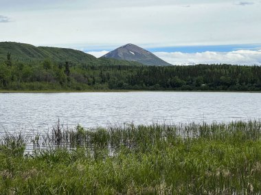 Donnelly Kubbesi tepelerin arkasında yeşil ağaçlarla İkiz Göller 'de Delta Junction, Alaska yakınlarında bir bahar günü. 