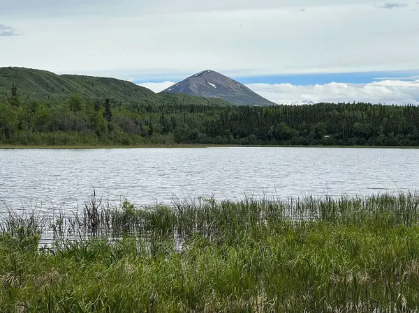 Donnelly Kubbesi tepelerin arkasında yeşil ağaçlarla İkiz Göller 'de Delta Junction, Alaska yakınlarında bir bahar günü. 