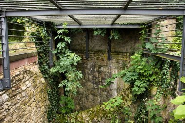 Mainz, Almanya 'da güneşli bir yaz gününde yeşil bitkilerle harabeler üzerine ızgara yapın.. 