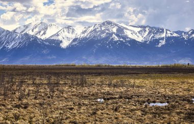 Anchorage, Alaska 'da bulutlu bir bahar gününde Potter Bataklığı' nın arkasındaki dağ. 