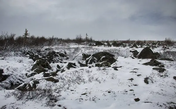 Alaska 'da karanlık bir bahar gününde Dalton Otobanı' nda kayalar karla kaplı.. 