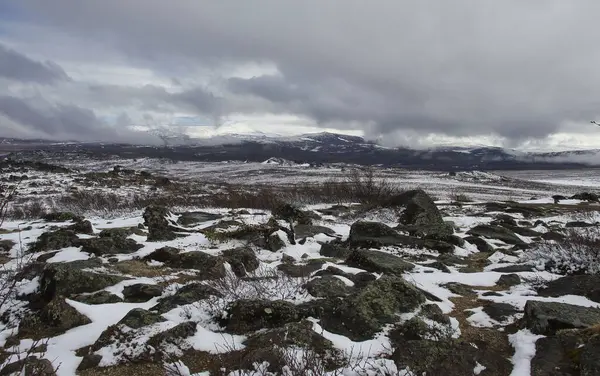 Alaska 'daki Dalton Karayolu' nda bir bahar günü Finger Mountain yolunda arka planda dağlarla kaplı kayalar.. 