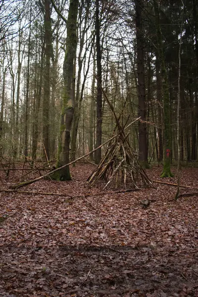 Karanlık bir kış günü Geramy 'nin Palatinate Ormanı' nda Hexenklamm yürüyüş yolunda yaprak içinde çadır..