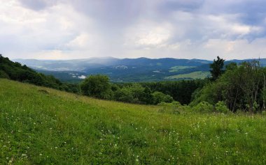 Almanya 'nın Bavyera kentindeki Kreuzberg manastırında yaz günü, arka planda dağların ardında sis olan bir tarla.. 