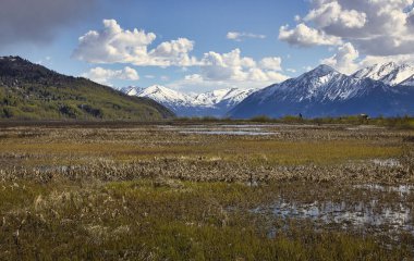 Anchorage, Alaska 'da bir bahar günü arkasında dağlar olan Potter Bataklığı. 