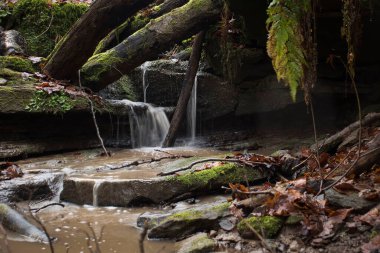 Almanya 'nın Palatinate Ormanı' ndaki Hexenklamm 'da kayaların üzerinden akan su.. 