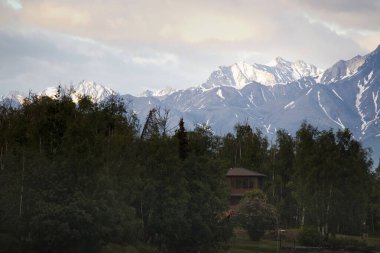Wasilla, Alaska 'da güneşli bir yaz gününde arka planda dağlar olan evin etrafındaki ağaçlar.. 
