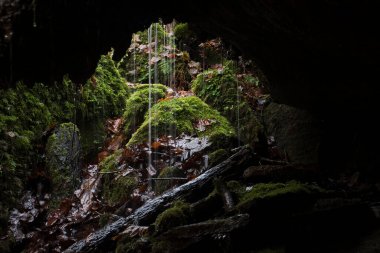 Almanya 'nın Palatinate Ormanı' ndaki Hexenklamm 'da küçük bir mağaradan su damlatan bir kış gününe bakıyorum.. 