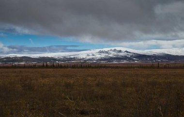 Alaska 'da bulutlu bir bahar gününde Dalton Otoyolu' nda tarlanın arkasında karla kaplı bir dağ..