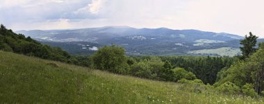 Almanya 'nın Bavyera kentindeki Kreuzberg Manastırı' nda bir yaz günü ağaçlı tepeler panosu. 