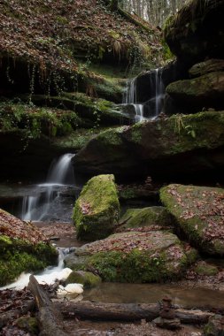 Almanya 'nın Palatinate Ormanı' ndaki karanlık bir kış gününde Hexenklamm 'da kayaların üzerinde küçük bir havuza şelale.