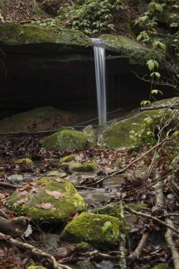Almanya 'nın Palatinate Ormanı' ndaki Hexenklamm 'daki yosunlu kayaların üzerinden akan su
