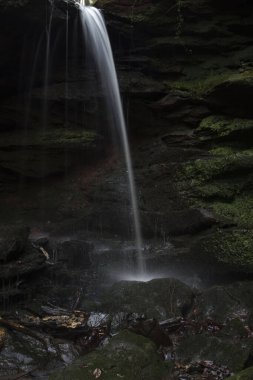 Almanya 'nın Palatinate Ormanı' ndaki karanlık bir kış gününde yosunlu kayaların üzerindeki şelale Hexenklamm 'da küçük bir havuza dönüşür. 