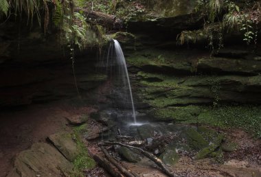 Almanya 'nın Palatinate Ormanı' nda karanlık bir kış gününde Hexenklamm 'da küçük bir şelale..
