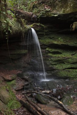 Almanya 'nın Palatinate Ormanı' nda karanlık bir kış gününde Hexenklamm 'da küçük bir şelalenin kenarında. 
