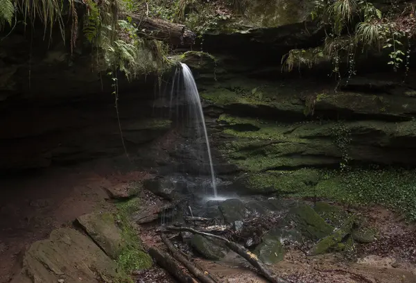 Almanya 'nın Palatinate Ormanı' nda karanlık bir kış gününde Hexenklamm 'da küçük bir şelale..