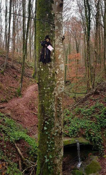 Pirmasens, Almanya - 31 Aralık 2021: Hexenklamm, Almanya 'da bir kış günü ağaçta asılı duran cadı. 