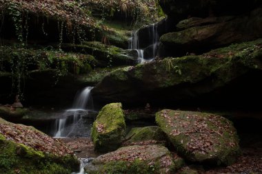 Almanya 'nın Palatinate Ormanı' nda kış günü Hexenklamm 'da su yosunlarıyla kayaların üzerinden akıyor..