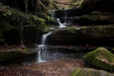 Almanya 'nın Palatinate Ormanı' nda bir kış günü Hexenklamm 'da yosun ve yapraklarla kayaların üzerinden akan su..