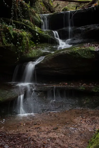 Almanya 'nın Palatinate Ormanı' nda bir kış günü Hexenklamm 'da yosun ve yapraklarla kayaların üzerinden akan su..