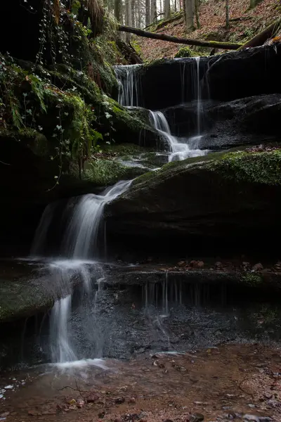 Almanya 'nın Palatinate Ormanı' nda bir kış günü Hexenklamm 'da yosun ve yapraklarla kayaların üzerinden akan su..
