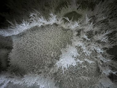 Alaska 'da bir kış günü Castner Mağarası' nın tavanından sarkan buz.