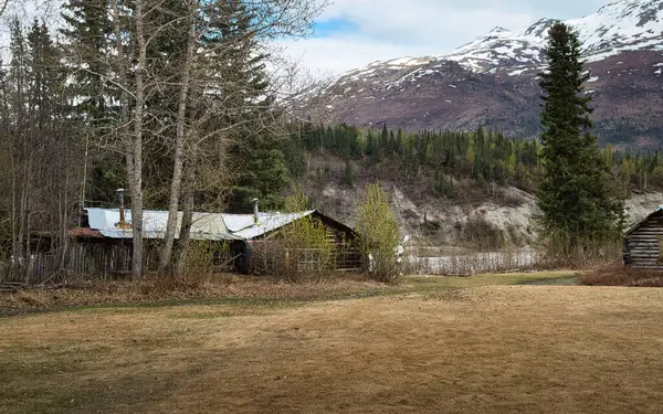 Wiseman, Alaska - 25 Mayıs 2024: Dalton Otoyolu 'nda güneşli bir bahar gününde Wiseman, Alaska' da nehrin yanındaki kulübe.