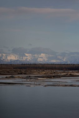 Salcha, Alaska 'da Salcha Nehri' nin arkasındaki karlı dağlarda bir bahar akşamı ışık parlıyor..