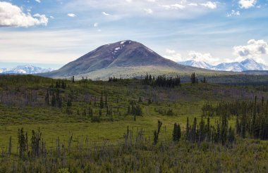 Arka planda Donnelly Kubbesi 'nin olduğu yeşil bitkiler ve ağaçlar Delta Kavşağı, Alaska yakınlarında bir bahar günü.
