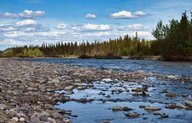Alaska 'da güneşli bir bahar gününde mavi nehrin etrafındaki kayalar ve ağaçlar.