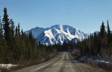 Karlı bir bahar günü Alaska 'da karlı bir dağa çıkan ağaçlarla çevrili Dirt Denali Otoyolu. 