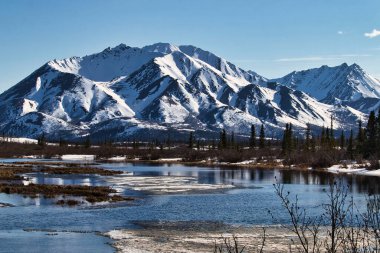 Alaska 'daki Denali Otobanı' nda güneşli bir bahar gününde karlı bir dağın önünde buzlu mavi bir su.. 