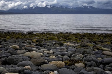 Homer, Alaska 'da bulutlu bir yaz gününde Bishop' s Beach 'te kayalık bir sahil.. 