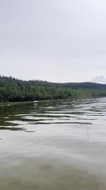 Alaska 'da bir yaz günü Bolio Gölü' nde havalanan kuş.. 