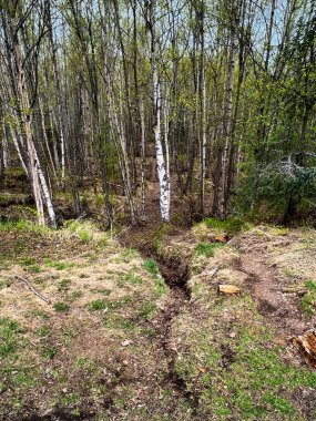 Anchorage, Alaska 'da bir bahar günü deprem parkı. Park 1964 Büyük Alaska depreminin anısına yapıldı.. 