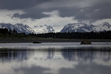 Homer, Alaska - 8 Temmuz 2025: Bishop 's Beach' te su arkasındaki dağlar Homer, Alaska 'da bulutlu bir yaz günü.