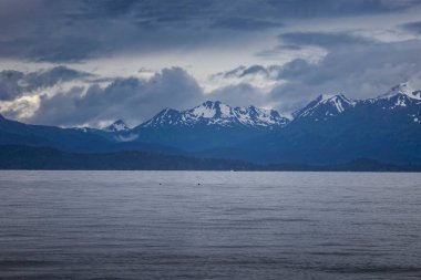 Bishop 's Beach' te denizin arkasındaki dağlar. Homer, Alaska 'da karanlık ve bulutlu bir yaz günü..
