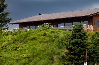 Homer, Alaska - 6 Temmuz 2025: Bulutlu bir yaz günü Homer, Alaska 'da Bishop' s Beach 'in üstündeki bir evin çatısında kel kartal.