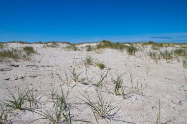 Amrum adasındaki kum manzarası