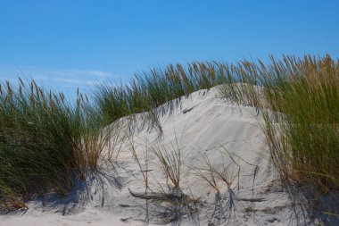 Amrum adasındaki kum manzarası