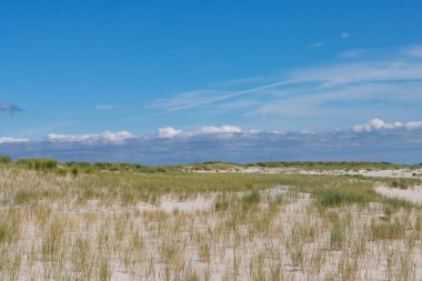 Amrum adasındaki kum manzarası