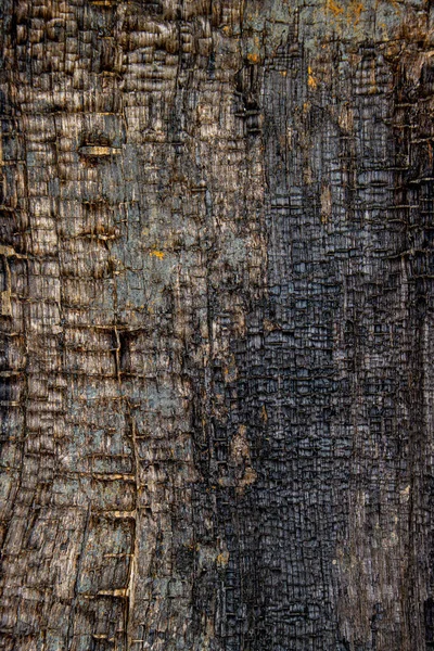 Old Rough Burned Wooden Texture Background — Stock Photo, Image